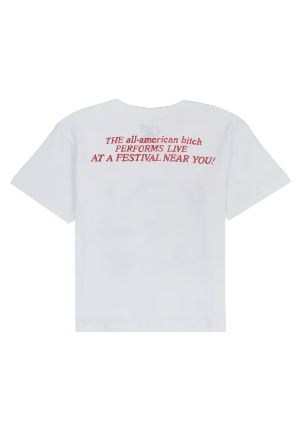 at a festival near you crop baby tee - Alternate View
